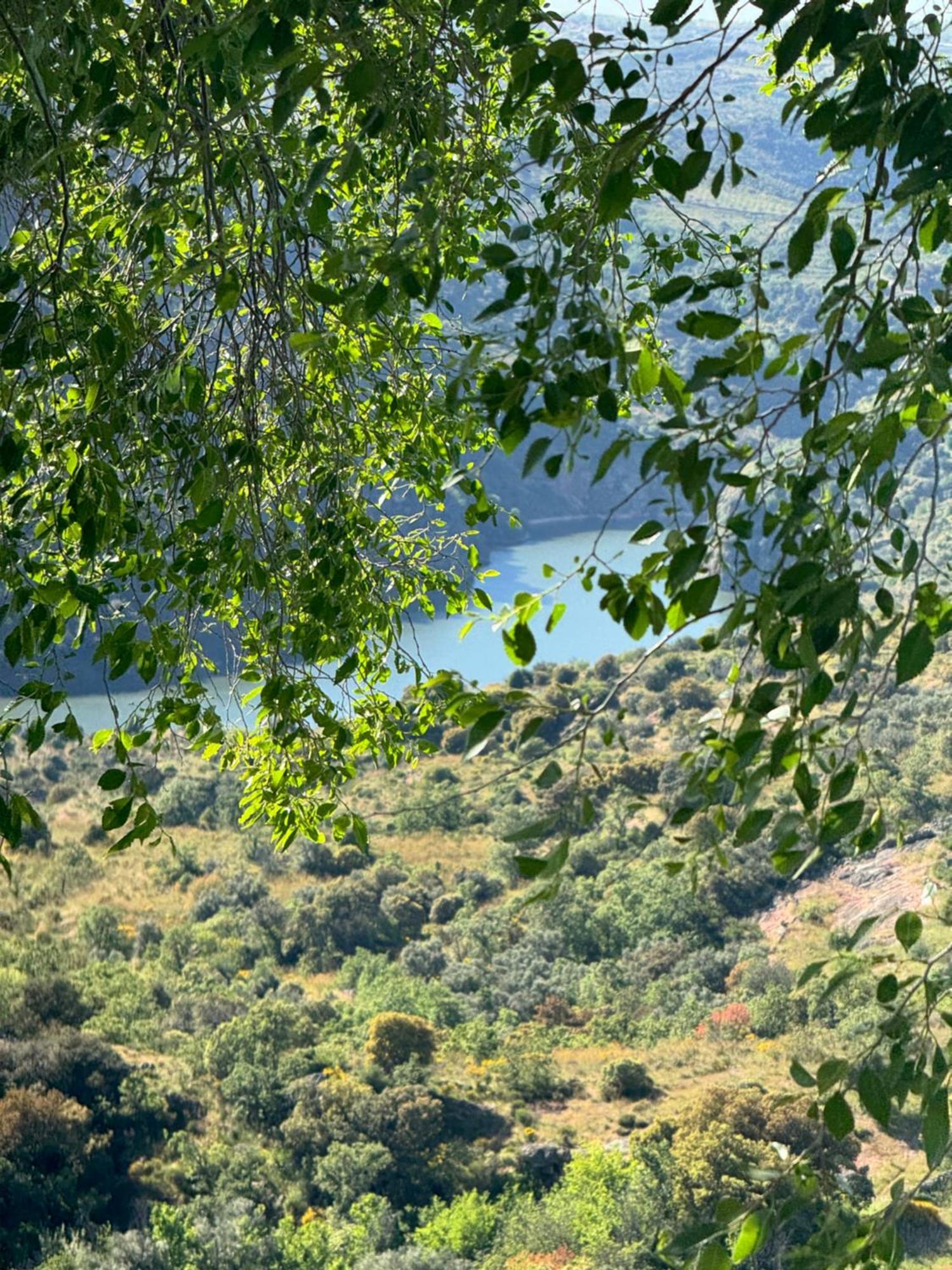 La Casita De Los Arribes Fermoselle Bagian luar foto